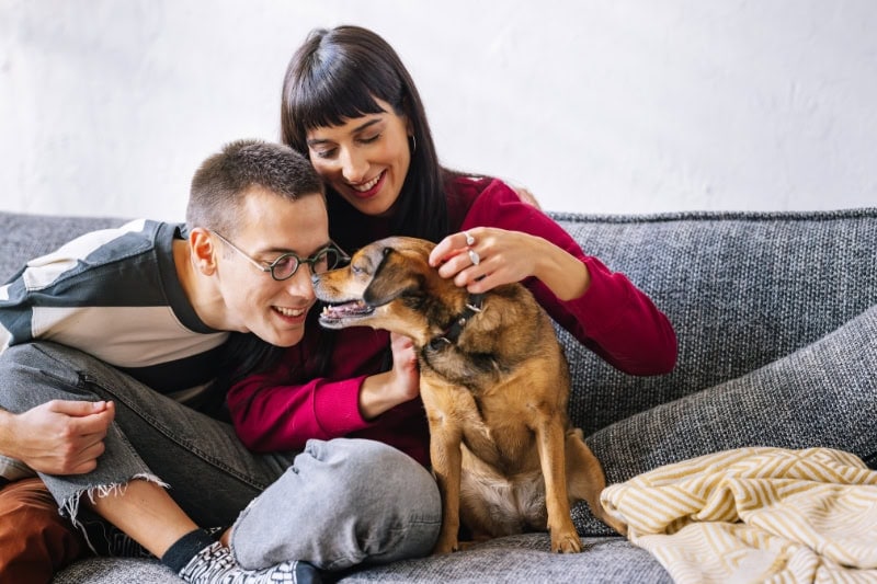 A lovely couple sitting on the sofa and playing with their dog. Everybody is smiling. Furnaces are keeping the room warm.