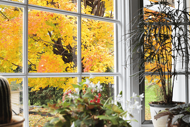 Fall Indoor Air Quality