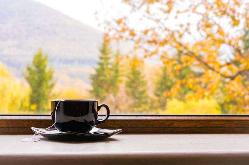 Why Do I Need a Humidifier in the Fall? Cup of tea in front of a window with an autumn view.